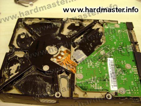 HDD WD пострадавший от наводнения HDD WD пострадавший от наводнения