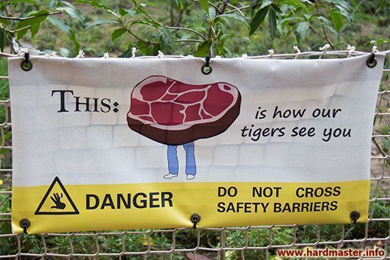 Взгляд лондонских тигров на окружающую действительность Взгляд лондонских тигров на окружающую действительность